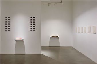 Katayoun Karami: Crescendo