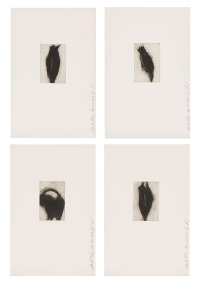 Black Tulips - Donald Sultan