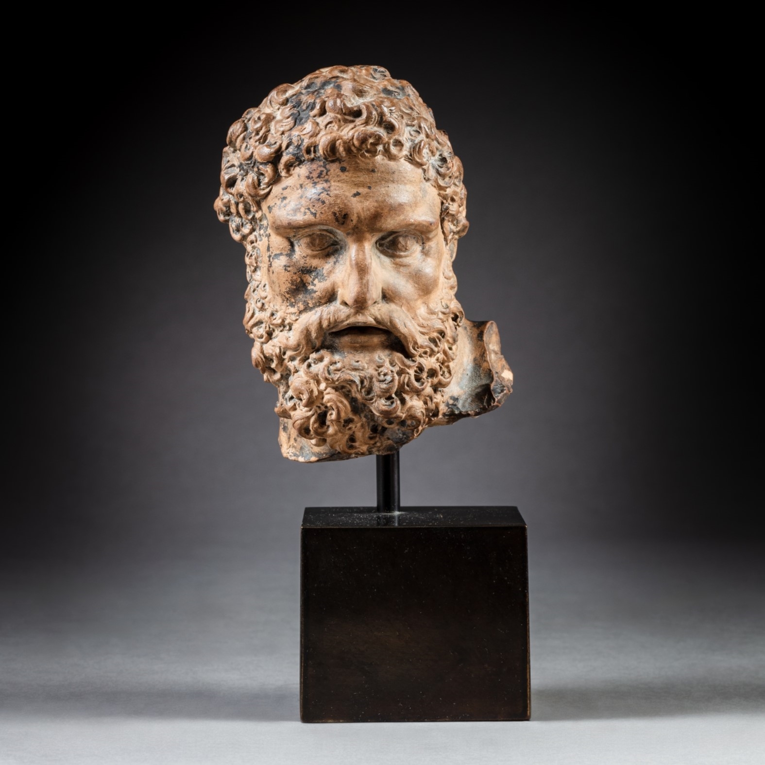Artwork by Roman School, 17th Century, Head of the Farnese Hercules, Made of terracotta, bronze patina, on a later wood base