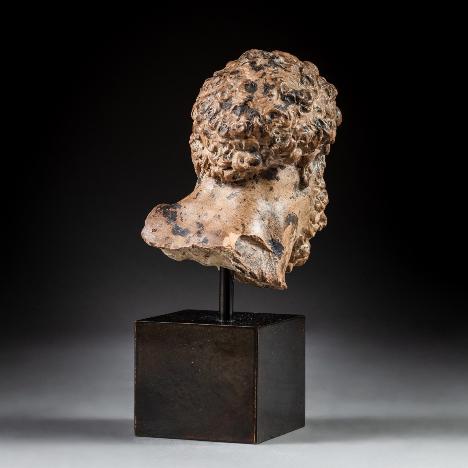 Artwork by Roman School, 17th Century, Head of the Farnese Hercules, Made of terracotta, bronze patina, on a later wood base