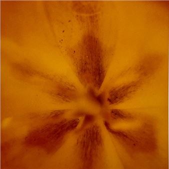 Las Flores Del Mal - Galeria Vasari