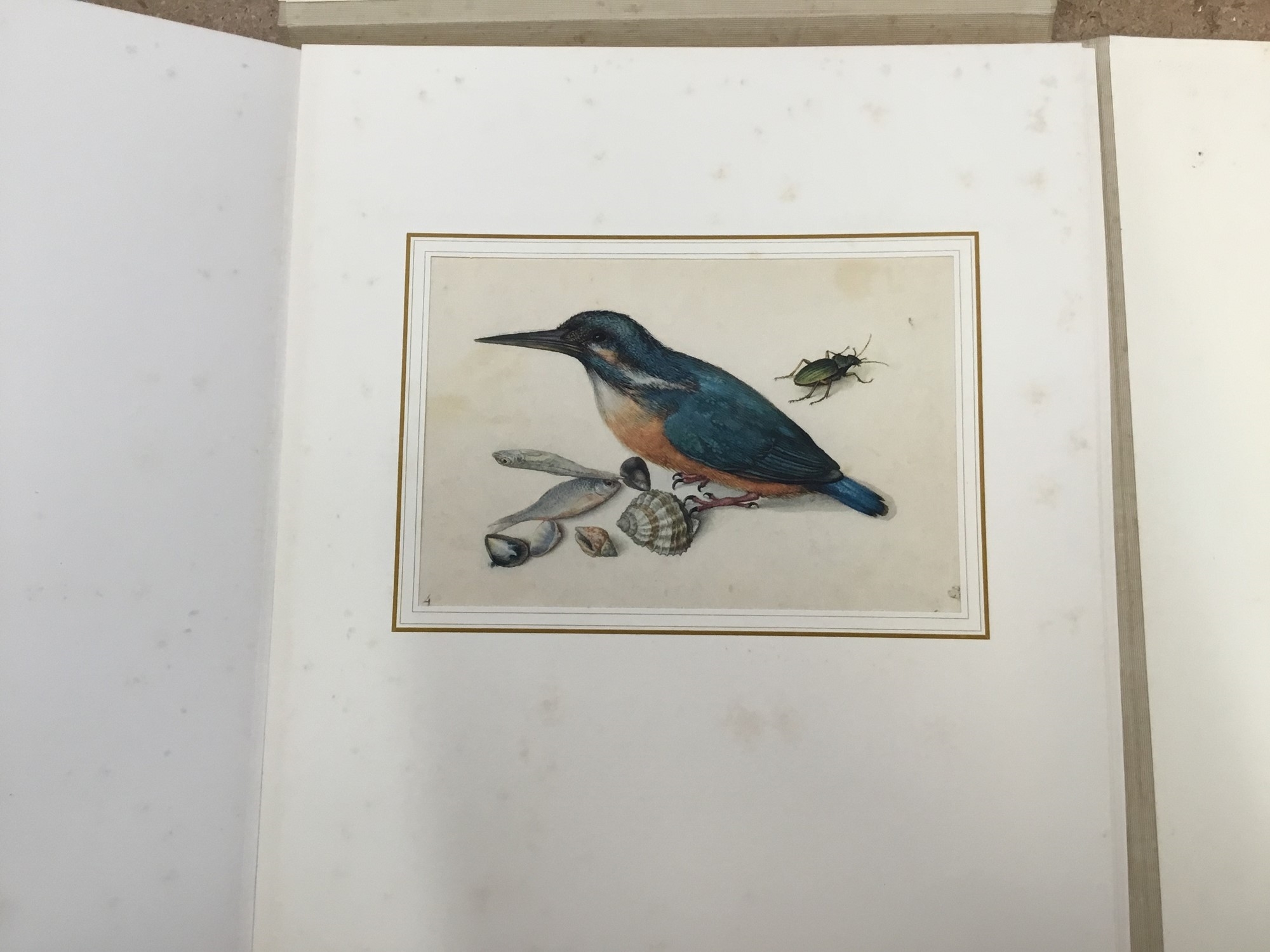 Artwork by Georg Flegel, After Georg Flegel, a presentation folio containing six mounted prints, probably 1950s