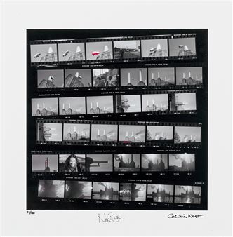 Seeing Pink - Animals contact sheet - Nick Mason