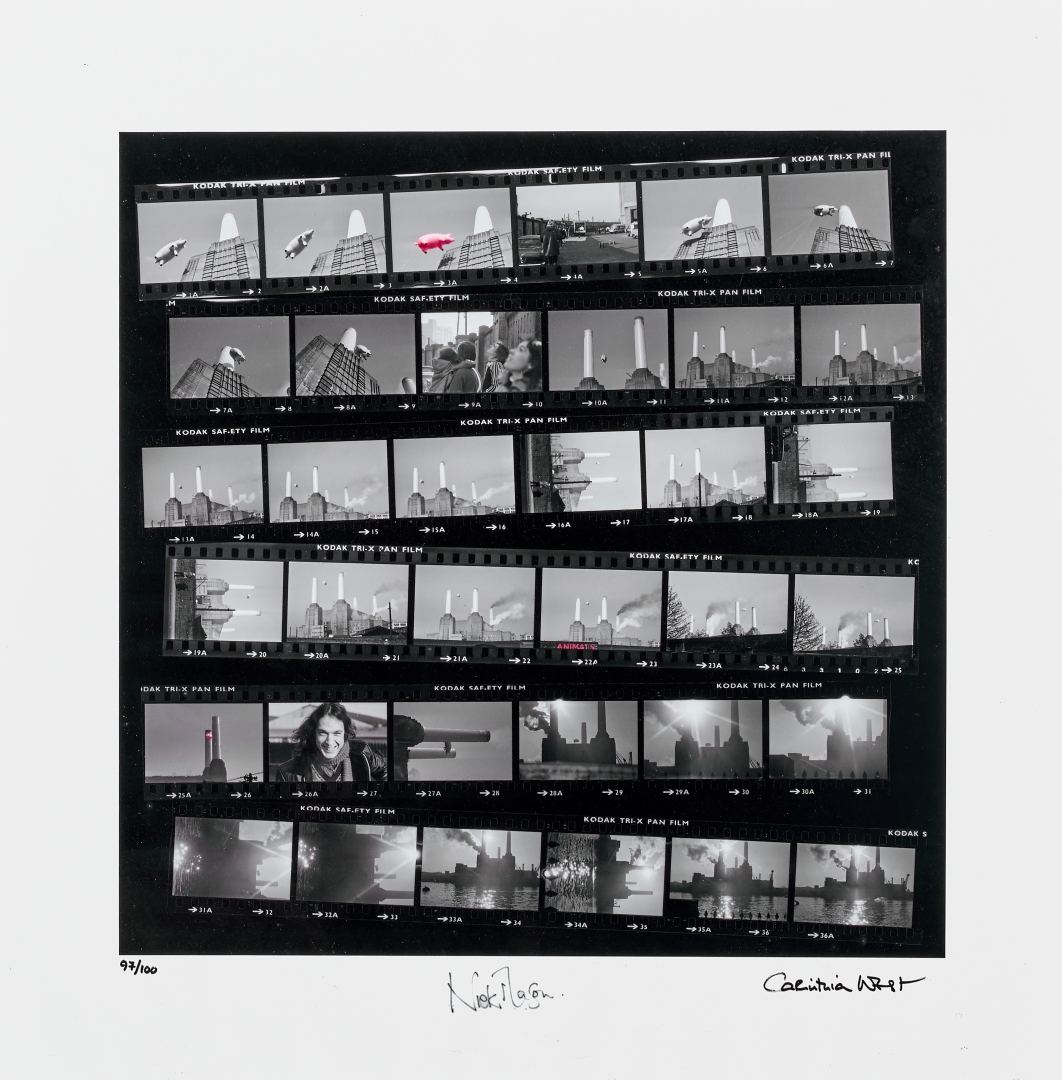 Artwork by Carinthia West, Nick Mason, Seeing Pink - Animals contact sheet, Made of Contact Photographic Print