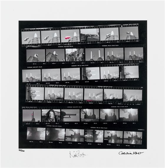 Seeing Pink - Animals contact sheet - Carinthia West