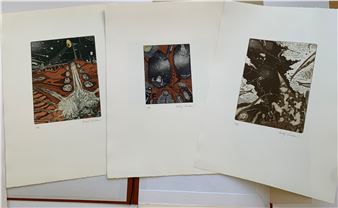 Flug ins Ungwisse-Mappe (6-teilig - Rudolf Kriebaum