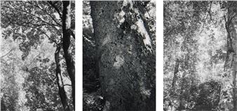 Light Balances (XVII A-C - Robert Adams