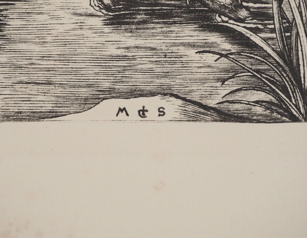 Artwork by Martin Schongauer, Saint Christopher Engraving, Made of Engraving