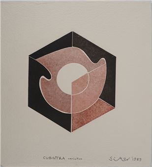 The hexagonal dove - Blaise Simon Balazs