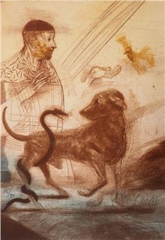 Veterinarian, friend of animals - Miguel Condé