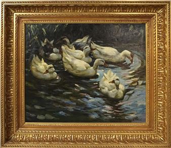 Enten im Wasser - Alexander Thiele