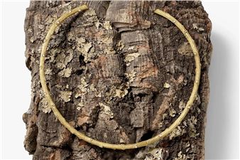 New Nature - David Gill Gallery