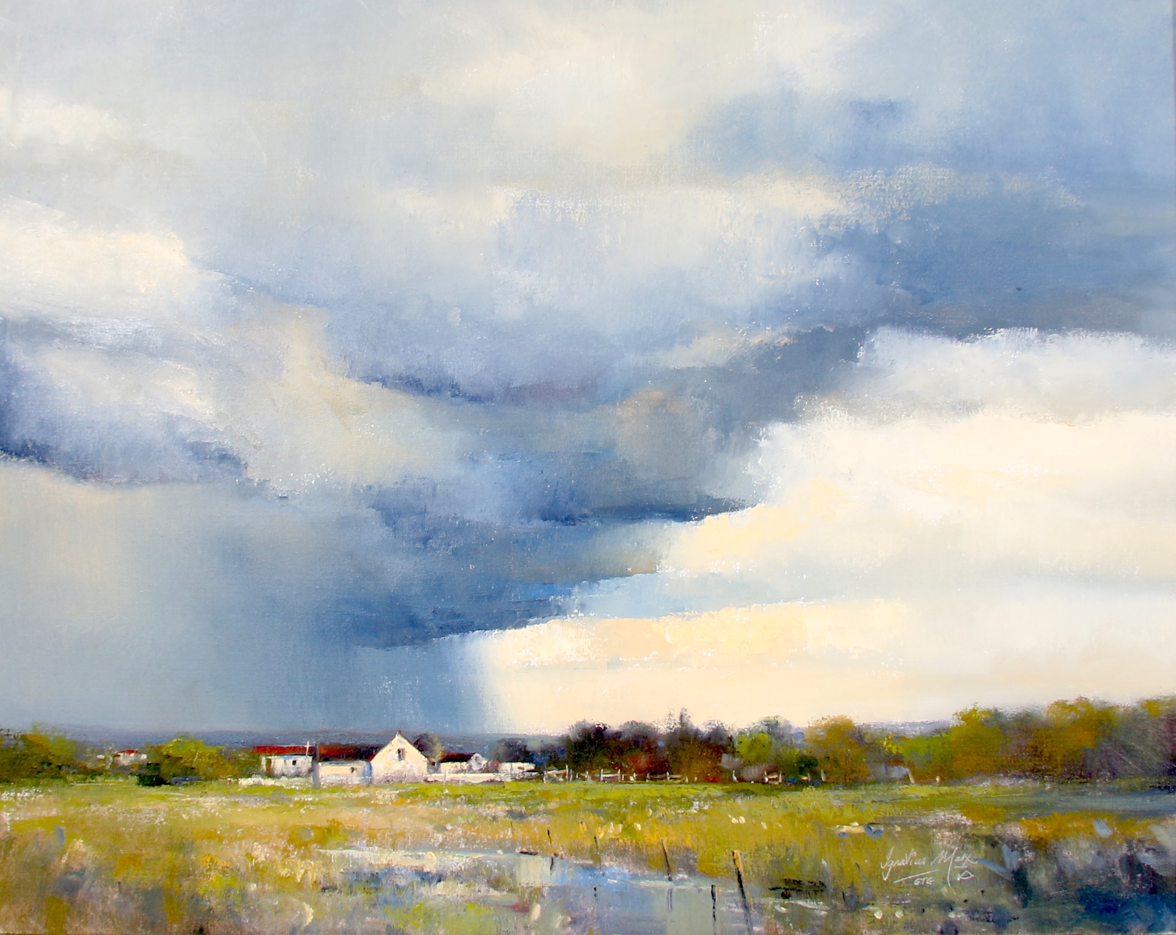 Artwork by Ignatius Marx, BOLAND ONWEER, Made of Oil On Canvas