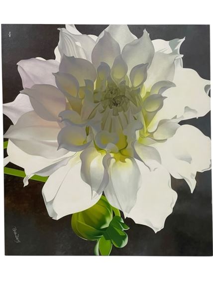 ALPEN PINK DAHLIA - Brian Davis