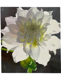 ALPEN PINK DAHLIA - Brian Davis