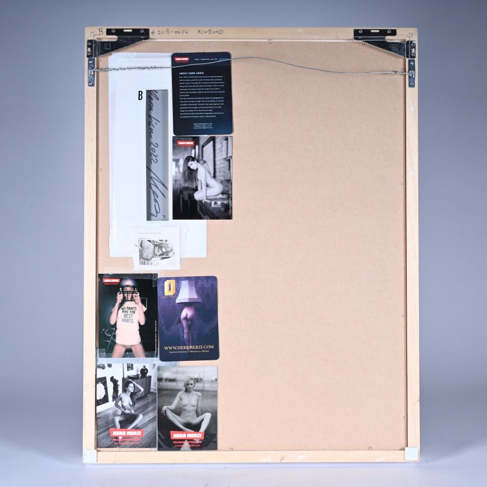 Herr Merzi | Mona Lisa and 1 photo shoot collage (2022) | MutualArt