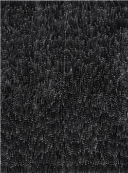 Mina Mina - Dorothy Napangardi