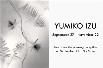 Yumiko Izu - Howard Greenberg Gallery