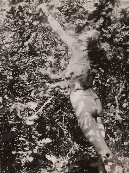 NUDE IN THE WOODS by Raoul Hausmann
