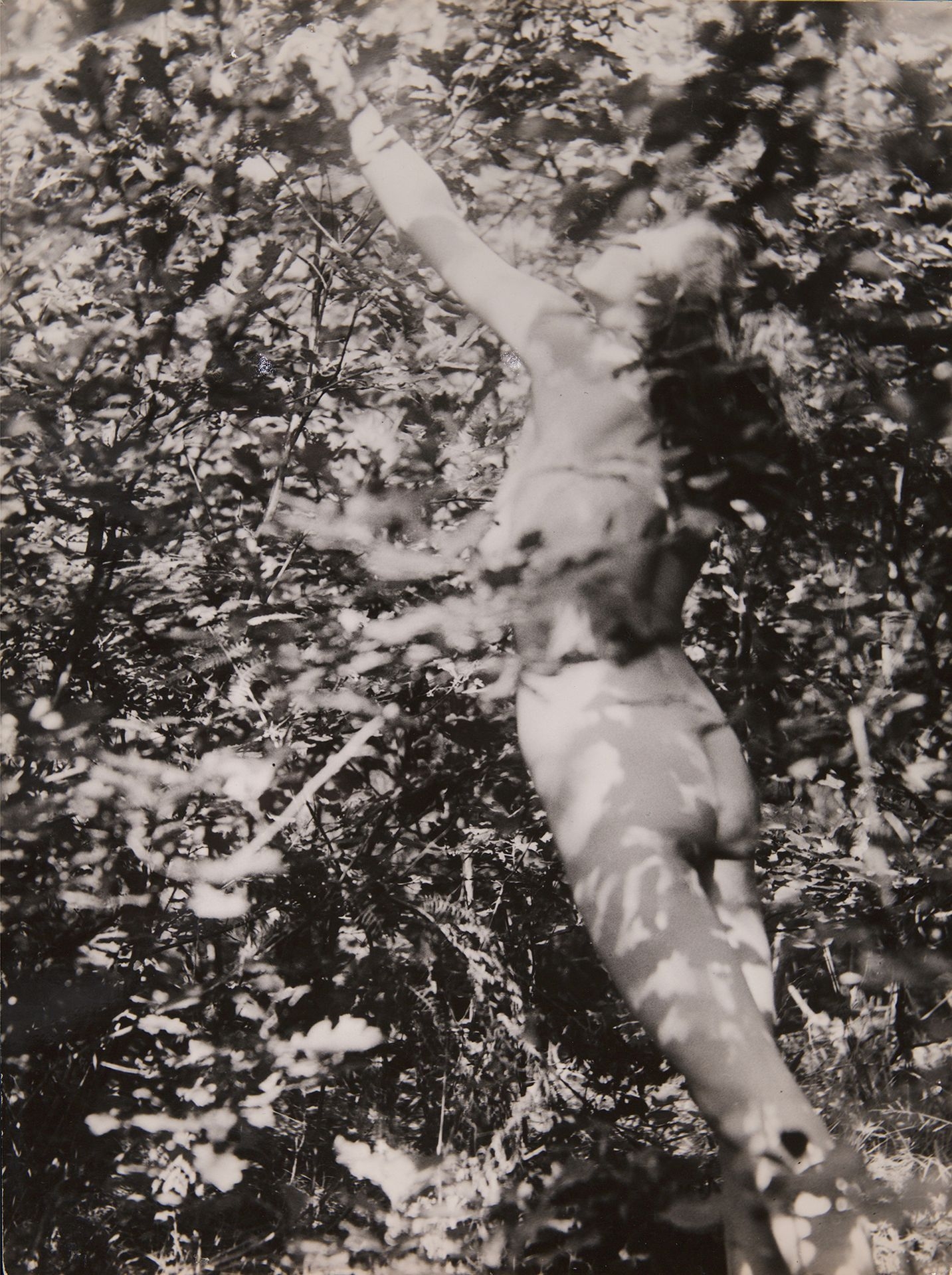 Artwork by Raoul Hausmann, NUDE IN THE WOODS, Made of Vintage Silver Print Mounted On Cardboard