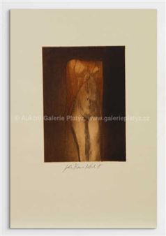 ŽԲ - Kristian Kodet