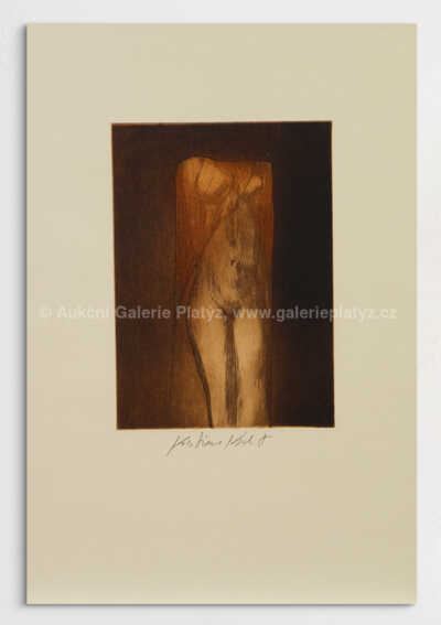 ŽԲ - Kristian Kodet