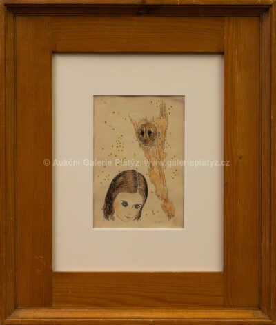 Dívka a soví oči - Toyen