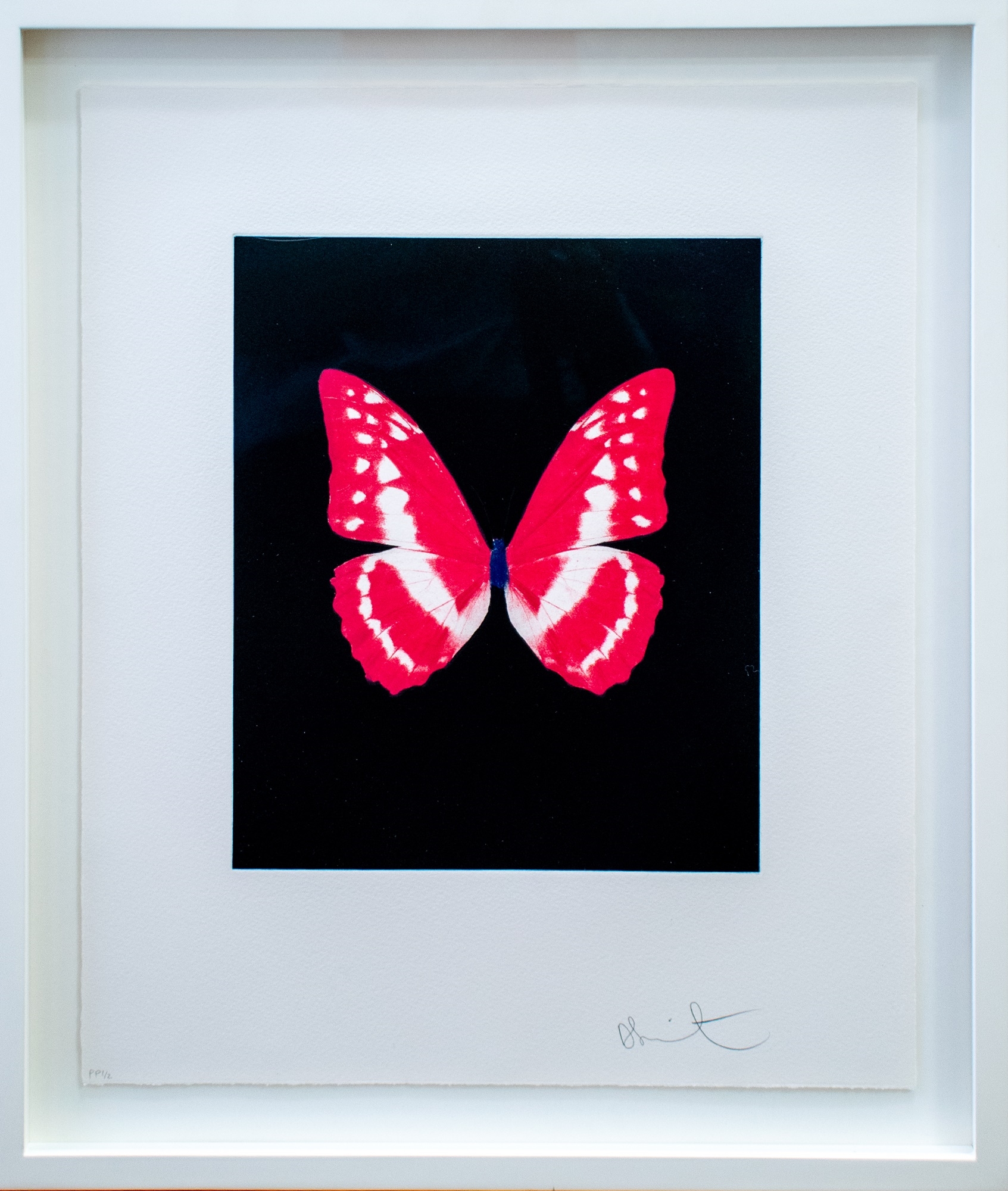 Artwork by Damien Hirst, Eternal Rest, Made of Etching And Aquatint In Colours On Wove Paper