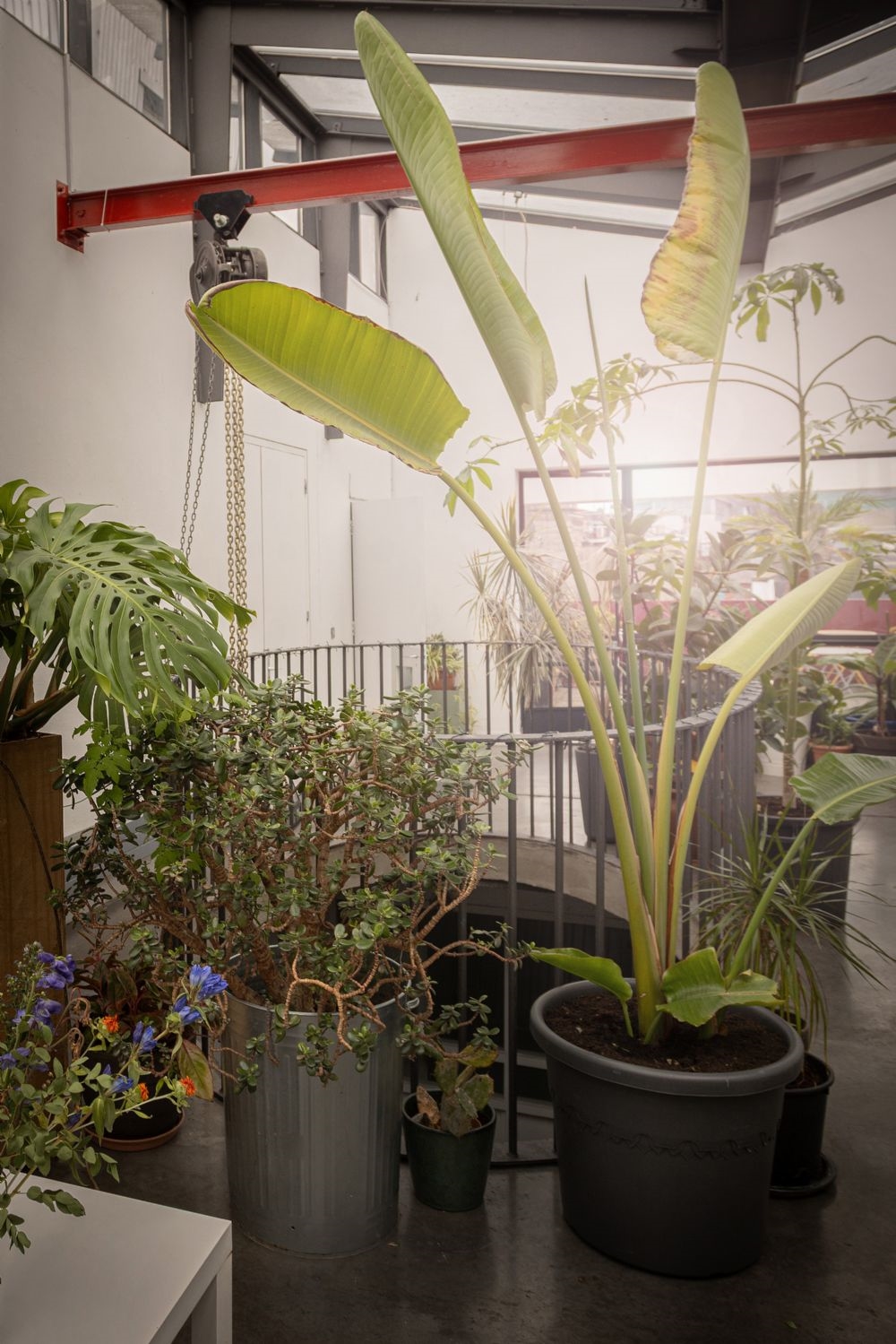 Artwork by Manar Al Shouha, TRANSFORMATION, Made of Oil, Charcoal And Mixed Media On Canvas