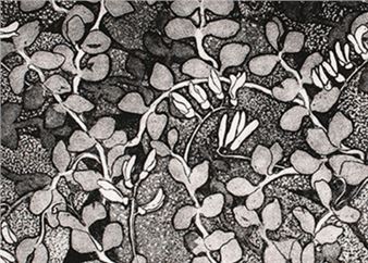 Nova Scotia Spotlight Cecil Day - Art Gallery of Nova Scotia, Halifax