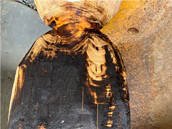 Arja Kärkkäinen: Stand Straight Falling - Galleria Huuto