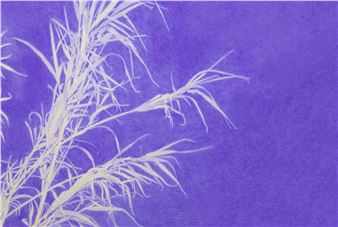 Robin Wen: Ce que cachait la nuit