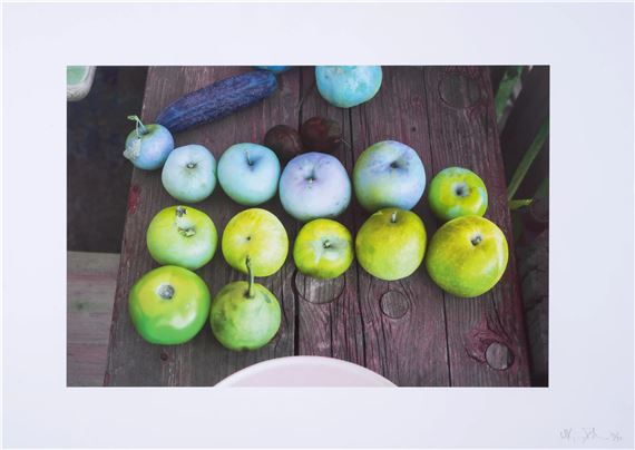 Camden Still Life - Wolfgang Tillmans