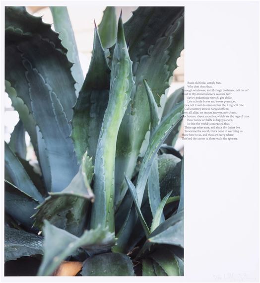 John Donne/Agave, Berlin Collage - Wolfgang Tillmans