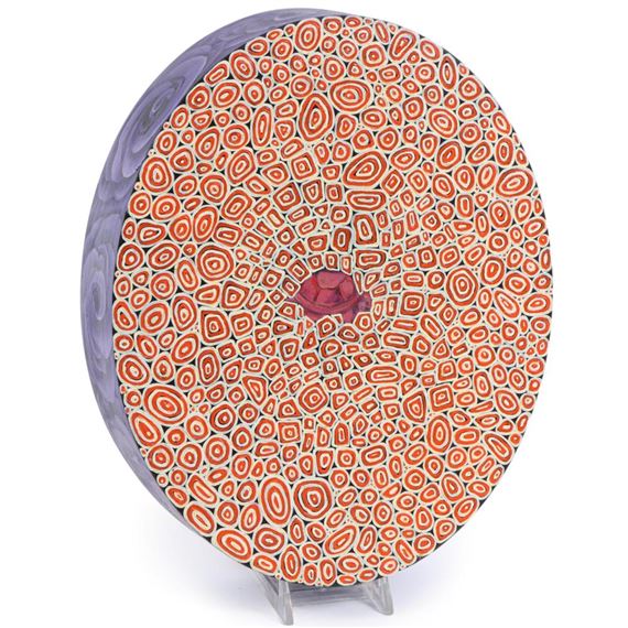 Summit's Turtle - Sara Sosnowy