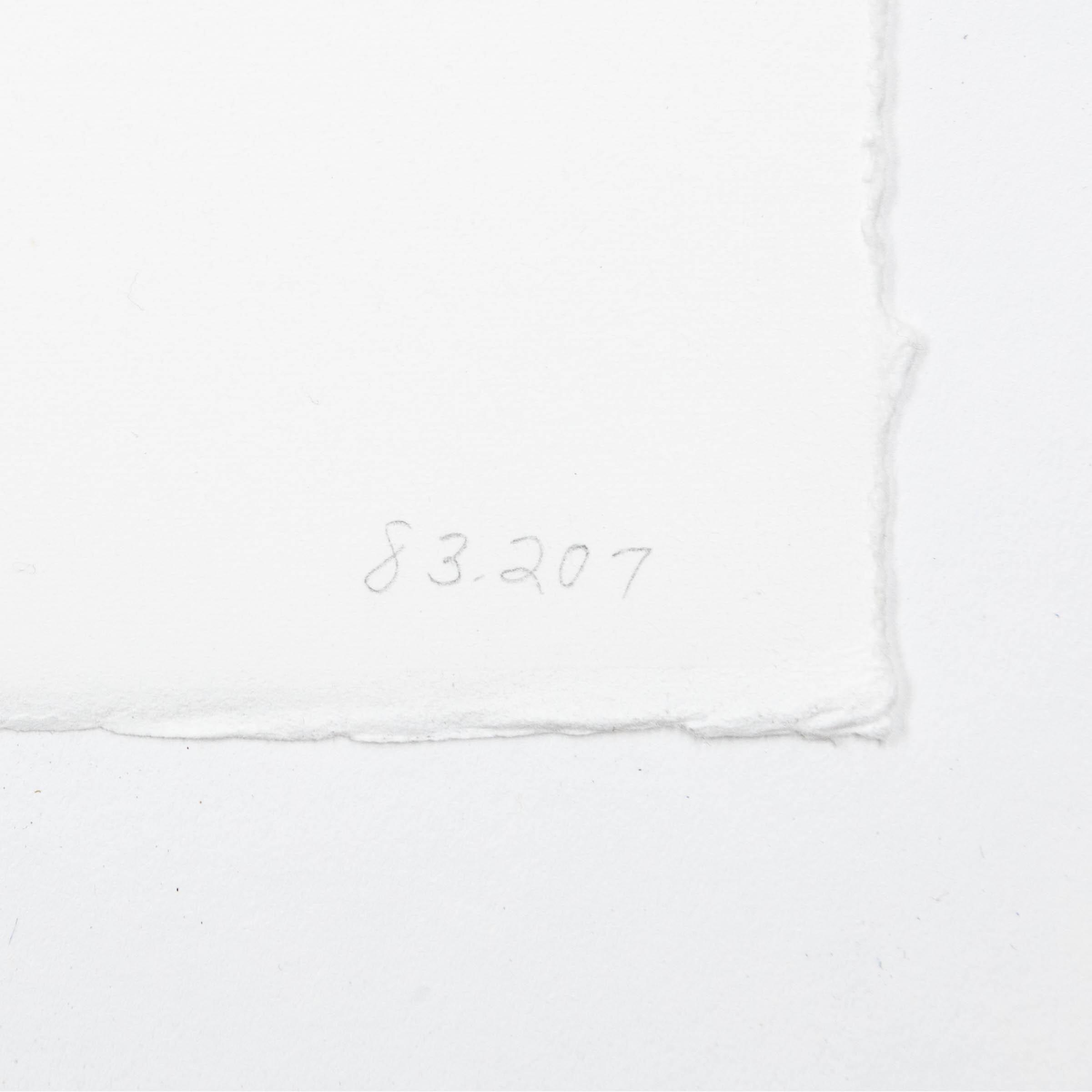 Artwork by Joan Mitchell, SIDES OF A RIVER II FROM FROM BEDFORD SERIES, Made of Lithograph In Colours On Arches 88 Mould-Made Paper, With Full Margins