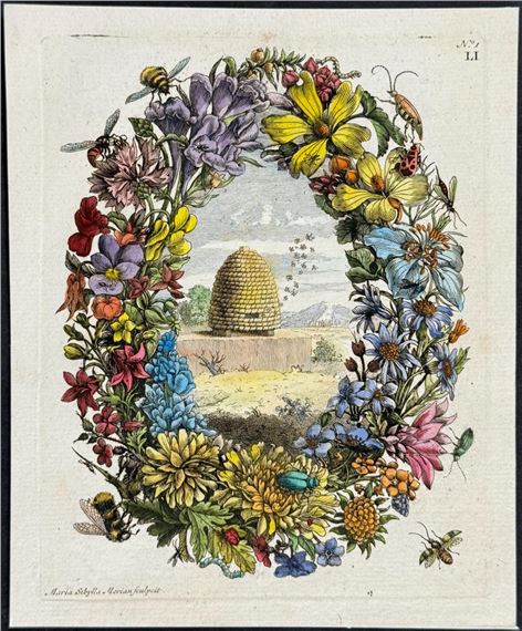 Floral Wreath & Bee Hive by Maria Sibylla Merian, 1771