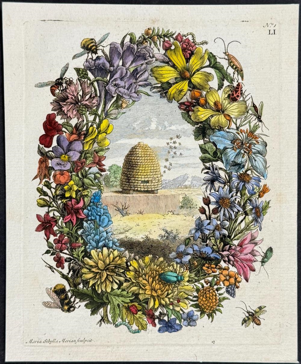 Artwork by Maria Sibylla Merian, Floral Wreath & Bee Hive, Made of Engraving With Professional Hand-Coloring