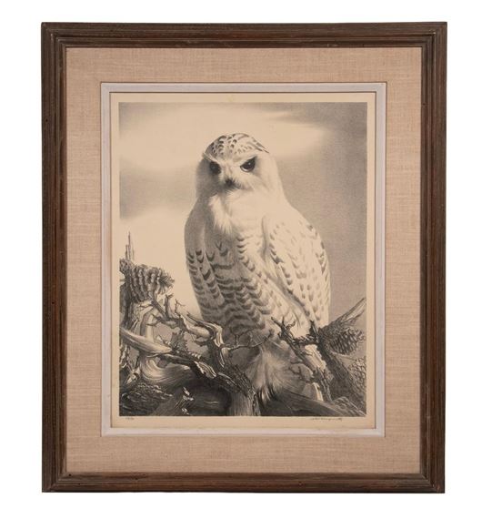 Snowy Owl - Stow Wengenroth