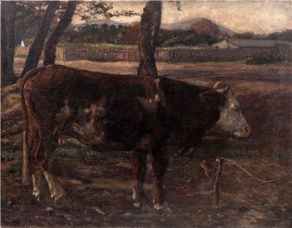 Kráva - Antonín Hudeček