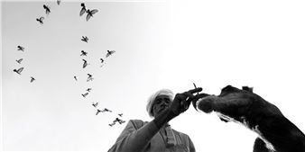 Dimpy Bhalotia: Small Lens, Big World - Florida Museum of Photographic Arts (FMoPA)