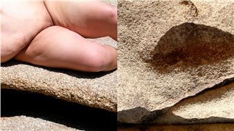 Museums+ - Joel and Lila Harnett Museum of Art, University of Richmond Museums