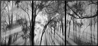 Kim Anderson: Disquiet