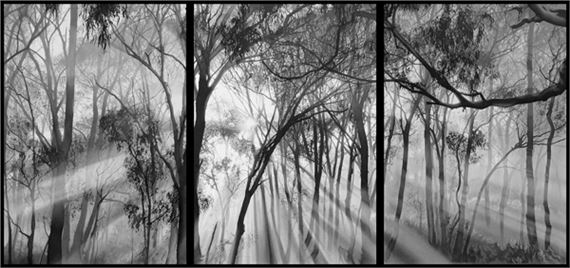 Kim Anderson: Disquiet - Flinders Lane Gallery