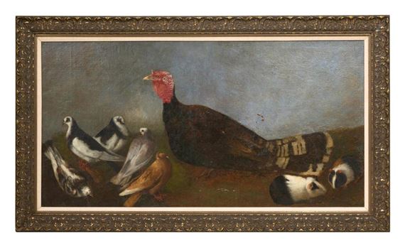 Barnyard Bird Scene with Turkey and Guinea Pigs - Continental School, 20th Century