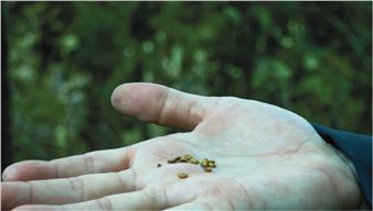 Another Place: Story-making the Entangled Prairie - Krannert Art Museum and Kinkead Pavilion
