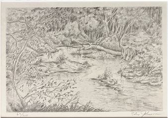 A detailed ink drawing of a serene woodland stream winding through dense foliage.