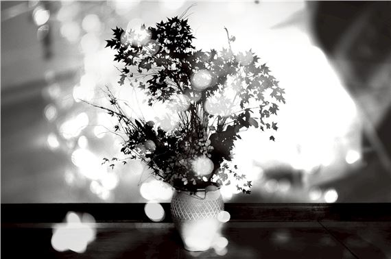 Takatsune Sakaguchi: 【inoa】 - America-Bashi Gallery