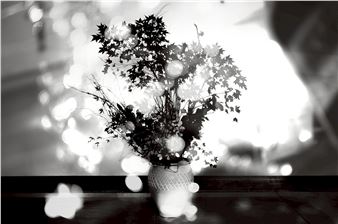 Takatsune Sakaguchi: 【inoa】 - America-Bashi Gallery