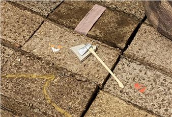 Maddie McNeely: Understory - Centre Clark